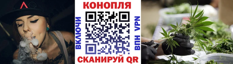 где найти   Каменногорск  Конопля план 